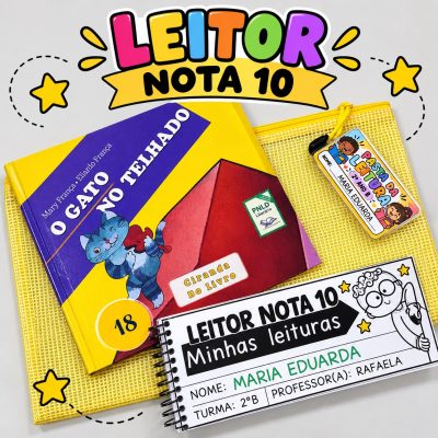LEITOR NOTA 10